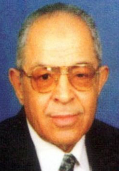 علي عشري زايد